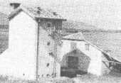 Talijanski tip susnice podignute 1953. na Oglednom polju u Orasju