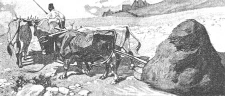 Povratak s polja M. Liebenwein, Nada 1903.