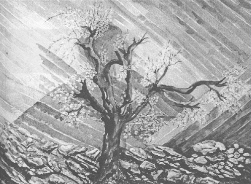 Enisa Šator: Drvo života